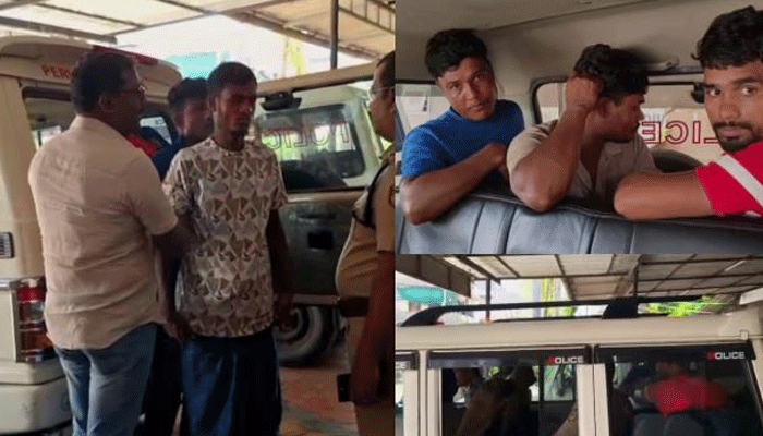 ddd (12) recovered recovered recovered recovered