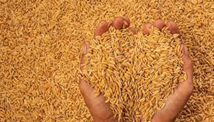 ddd (3) recovered recovered recovered recovered recovered recovered recovered recovered recovered recovered recovered recovered recovered recovered recovered